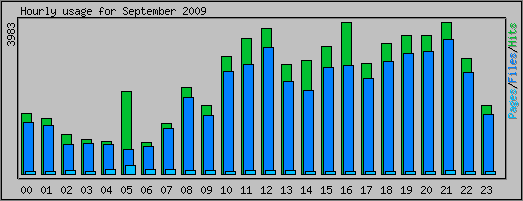 Hourly usage