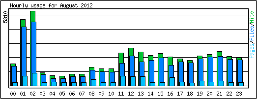 Hourly usage