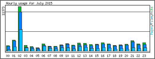 Hourly usage