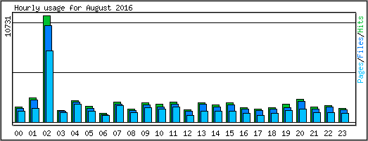 Hourly usage