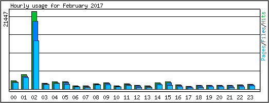 Hourly usage