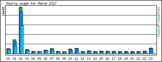 Hourly usage