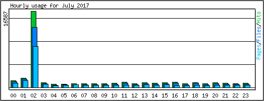 Hourly usage