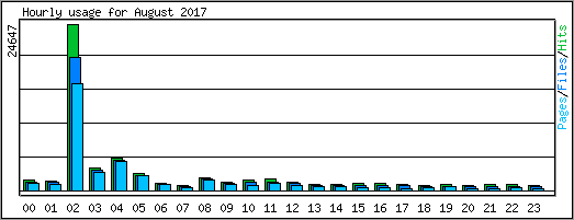 Hourly usage