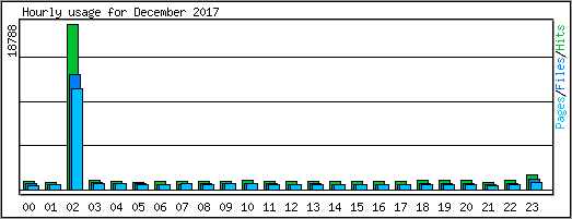 Hourly usage