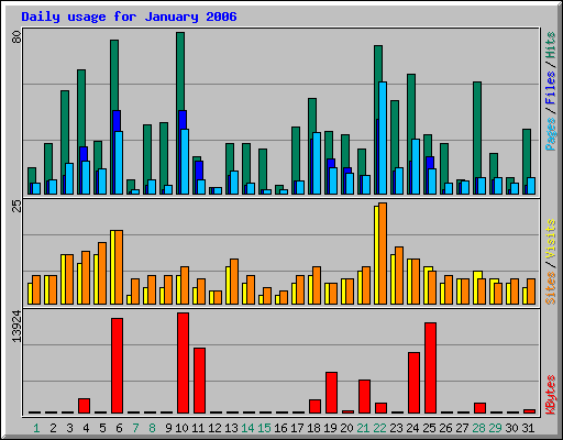 Daily usage for January 2006