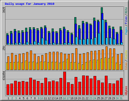 Daily usage for January 2010