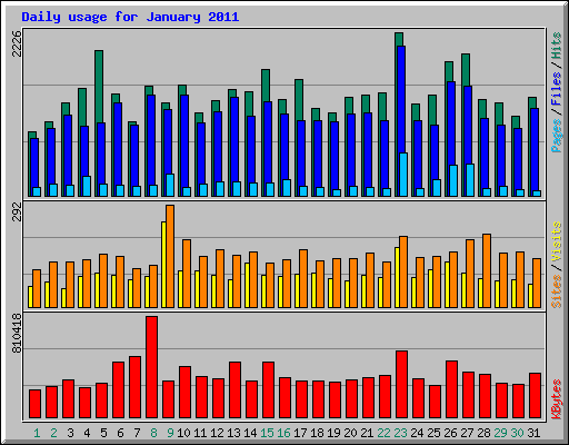 Daily usage for January 2011