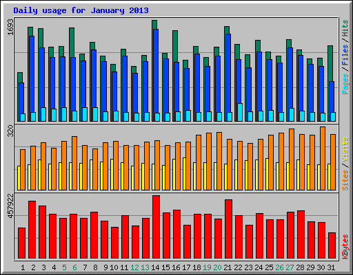 Daily usage for January 2013