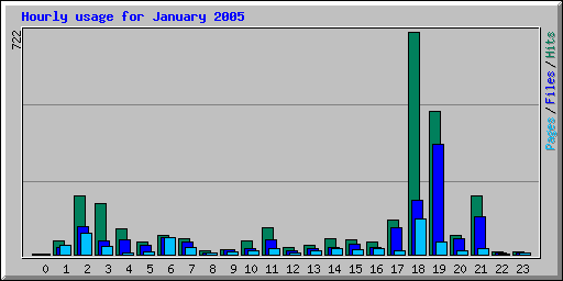 Hourly usage for January 2005