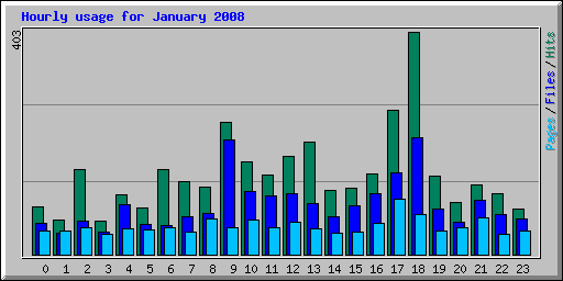 Hourly usage for January 2008