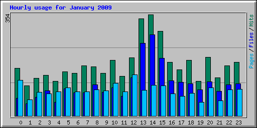 Hourly usage for January 2009