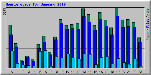 Hourly usage for January 2010