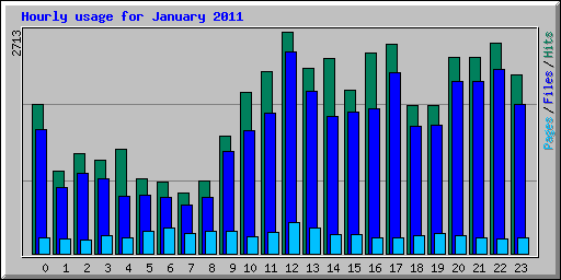 Hourly usage for January 2011