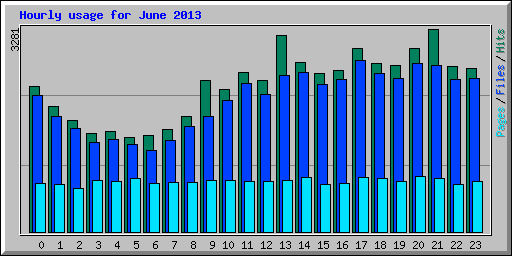 Hourly usage for June 2013