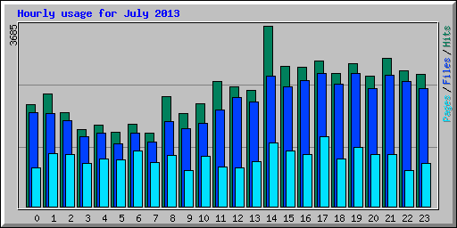 Hourly usage for July 2013