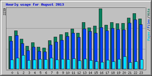 Hourly usage for August 2013