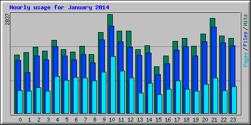 Hourly usage for January 2014