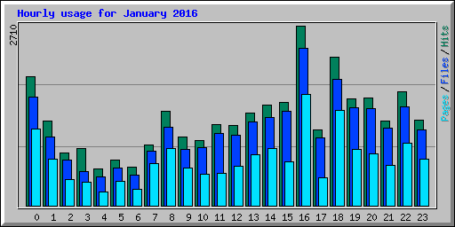 Hourly usage for January 2016