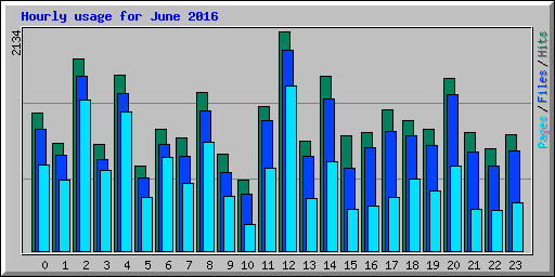 Hourly usage for June 2016