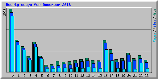 Hourly usage for December 2016