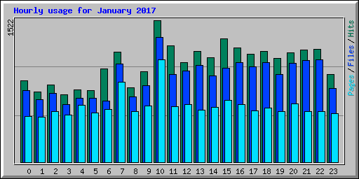 Hourly usage for January 2017